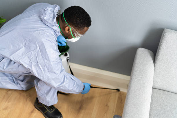 Best Pest Prevention Services  in Greenport West, NY